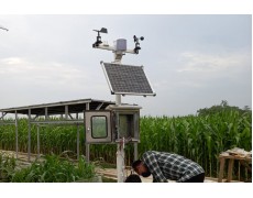 Perbedaan Wired dan Wireless Weather Station